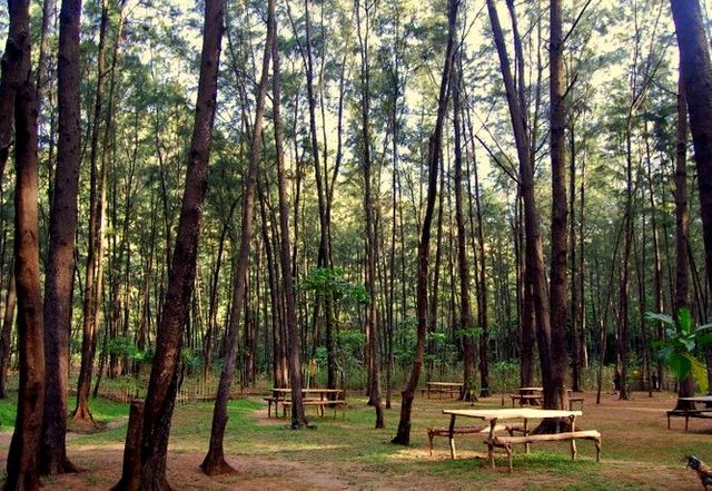 anawangin campsite.jpg