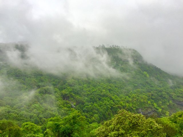 Khandala Forest, Maharashtra, India