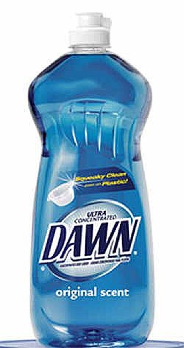 does dawn dish soap kill fleas