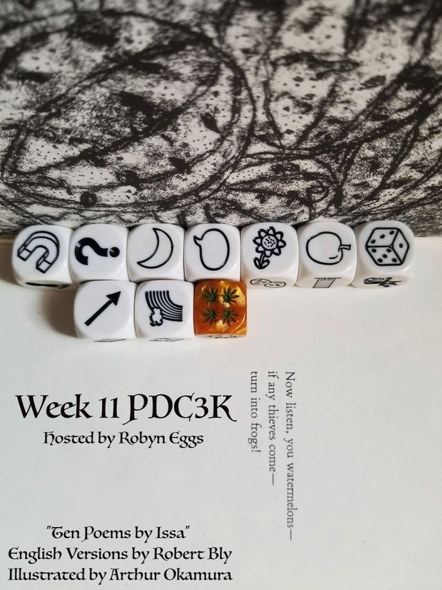 PDC3Kweek11_re.jpg