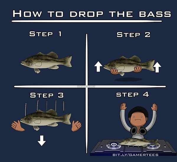 bass.jpg