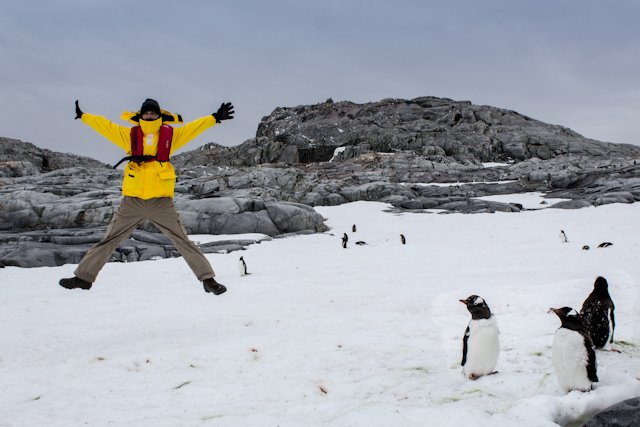 Antartida-Salto-Pinguinos.jpg