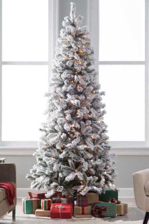 christmastree.jpg