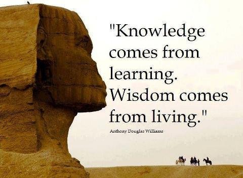 wisdom-189.jpg