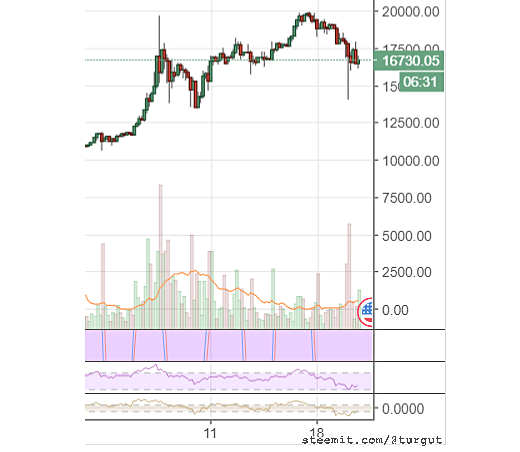 Bitcoin Cash Establishes New_2.png