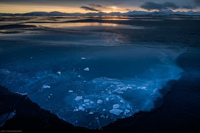 Ice Field