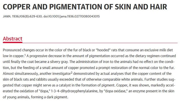 copper pigmentation jama study rats.JPG