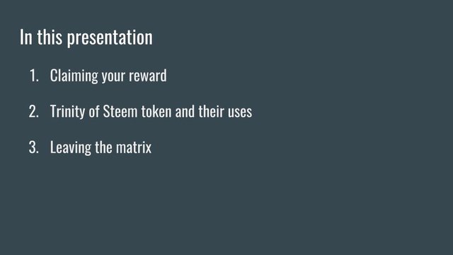 Steem Blockchain presentation_ Operating in the Matrix (12).jpg