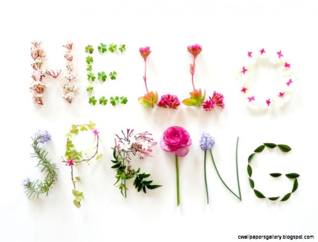 spring-quotes-spring-sayings-spring-picture-quotes.jpg