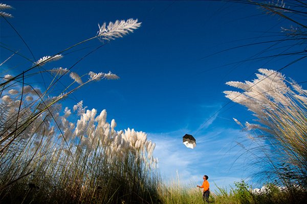 beautiful_bangladesh_20.jpg