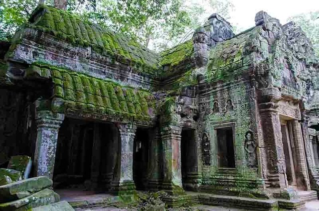 77 - Camboya - Angkor - templo de Ta Prohm.jpg