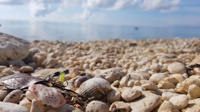 20180520_074409.jpg