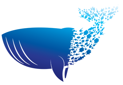 mspwhale.png