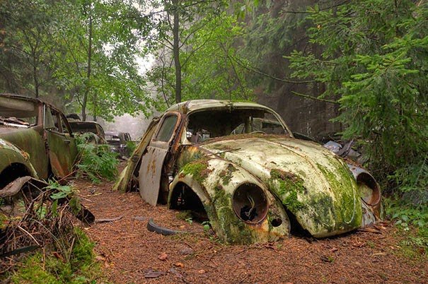 chatillon-car-graveyard-abandoned-cars-cemetery-belgium-1.jpg