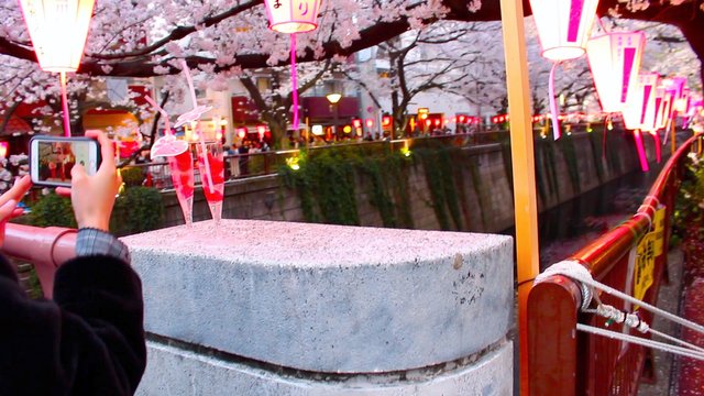 HANAMI 3.jpg
