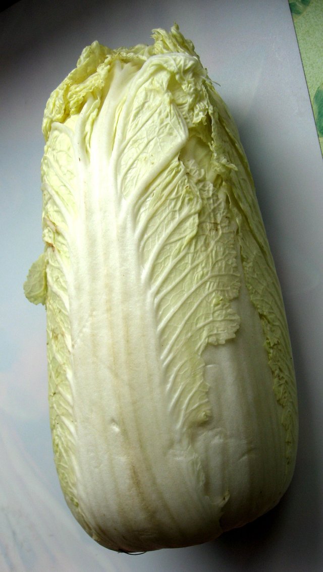 cabbage.jpg