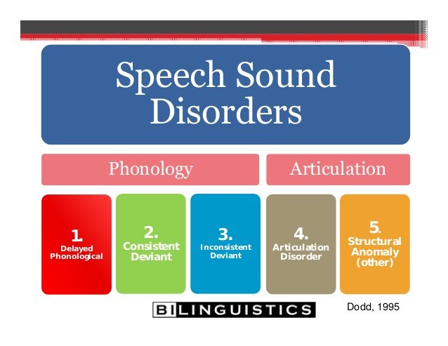 success-with-speech-sound-disorders-finding-the-best-fit-for-english-and-spanish-speakers-11-638.jpg