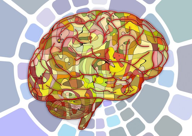 brain 2.jpg