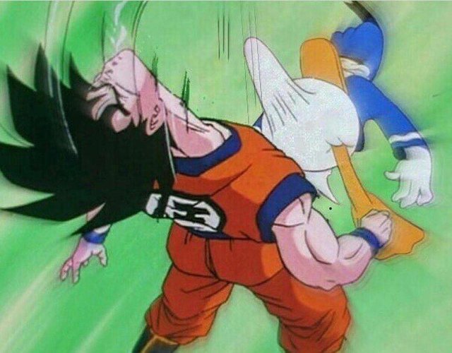 gokufight.jpg