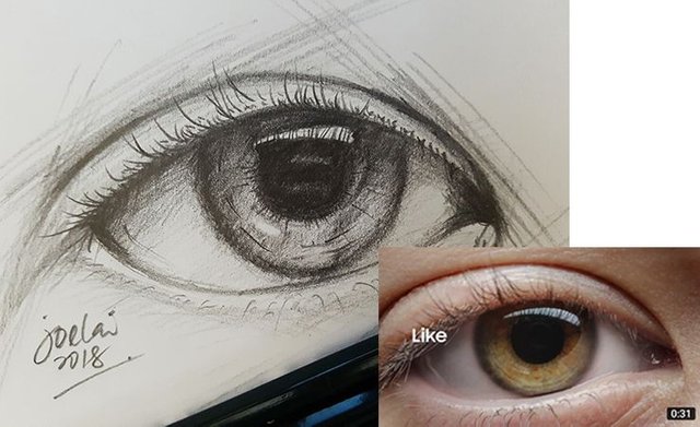 Sketched Eye.jpg