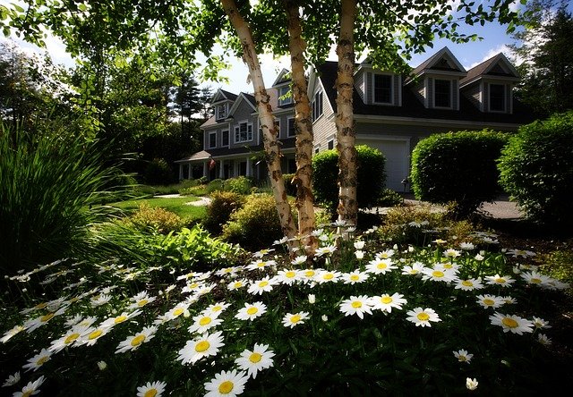 Leafy neighborhood.Free-Photos.jpg