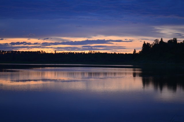 elk island (3).JPG