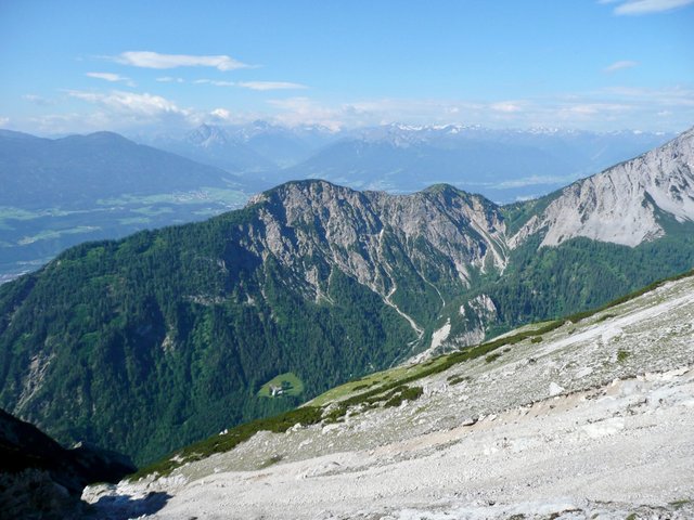Bettelwurf - 3.jpg