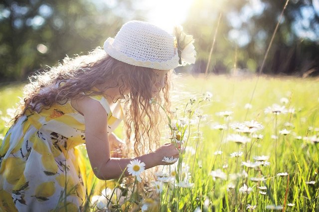 picking-flowers-2432972_1280.jpg