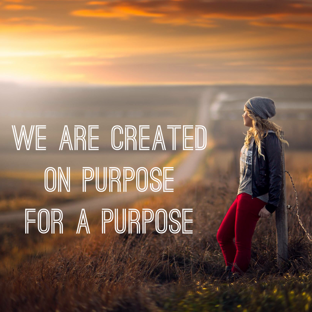 Created On Purpose For A Purpose.png