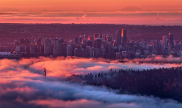 Foggy Vancouver