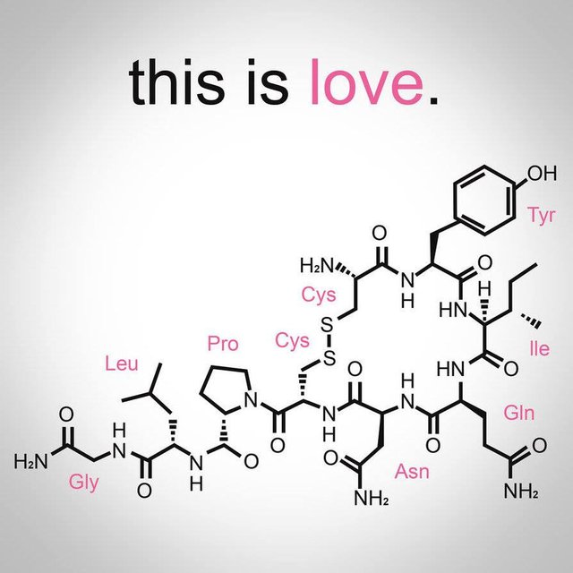 oxytocin1.jpg