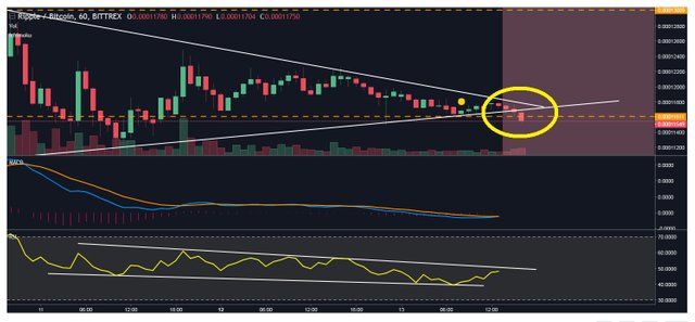 ripple possible bull trap.jpg