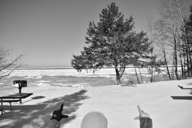 DSC_0833.JPG