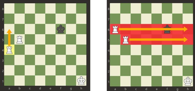 Ladder-Checkmate-4.jpg