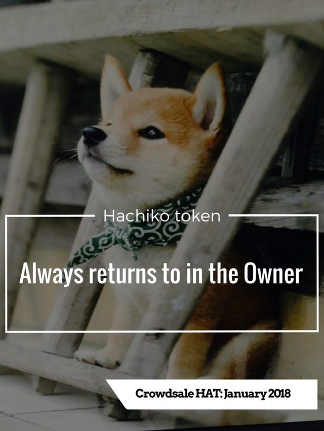 hachiko.jpg