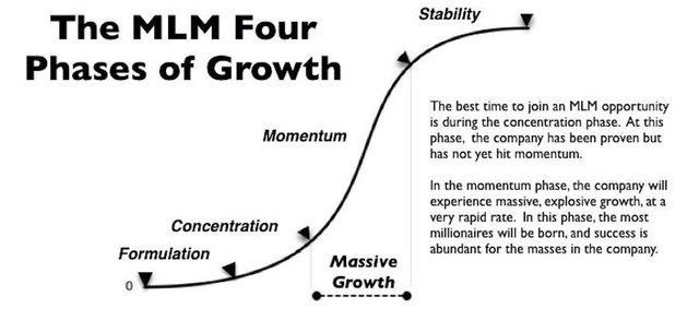 4 Phases of Growth (2).JPG