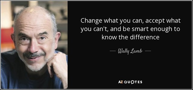 quote-change-what-you-can-accept-what-you-can-t-and-be-smart-enough-to-know-the-difference-wally-lamb-102-56-37.jpg