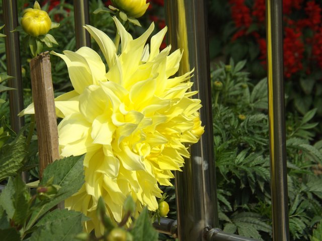 DSCF0514.JPG