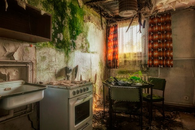 cooking with nature-captured in the abandoned Hotel Atlantis. Stefan Baumann.jpg