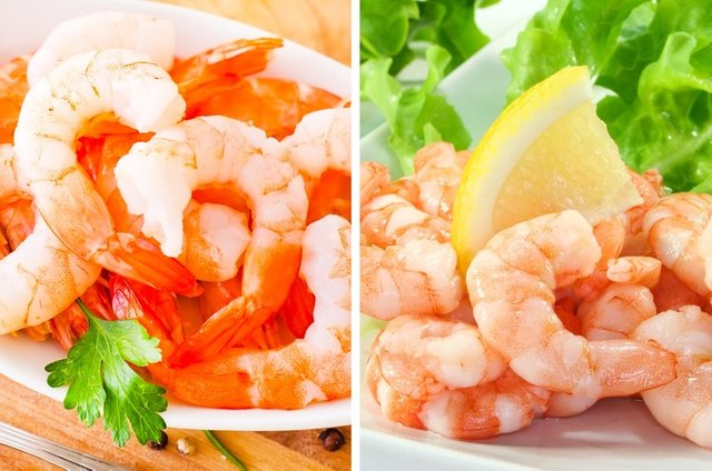 Shrimp.jpg