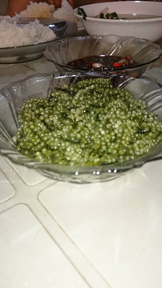 received_1552258768196524.jpeg