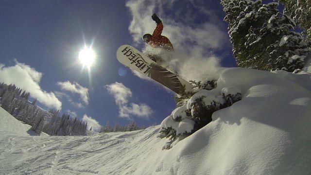 tree-drop-northwoods.jpg