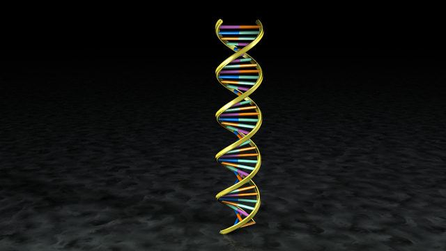 Helix FFD anim - 2018_0005.png