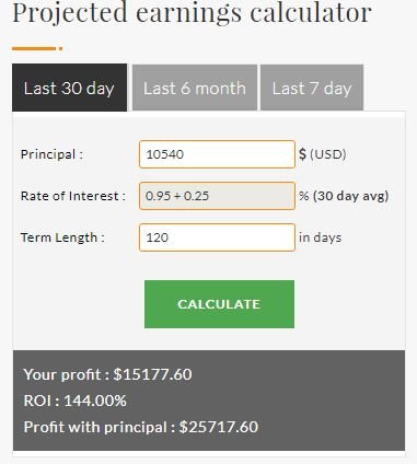 ROI calculator.JPG