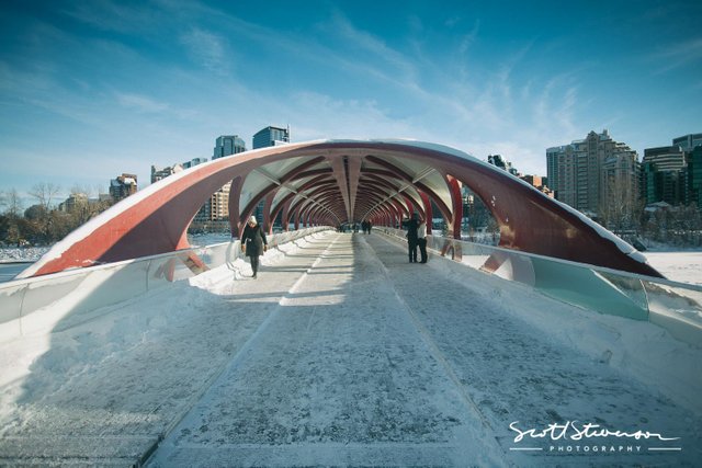 Peace Bridge-1.jpg