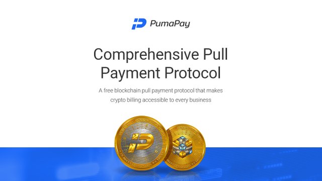 pumapayico1.jpg