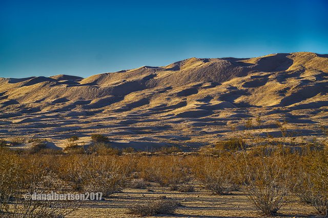 kelso_dunes.jpg