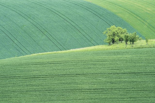 beautiful-fields-of-moravia-czech-republic-03.jpg