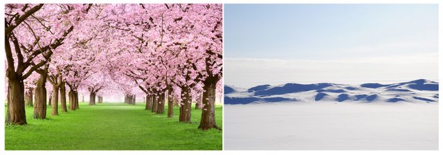 japan.jpg