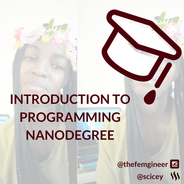 INTRODUCTION TO PROGRAMMING NANODEGREE.png